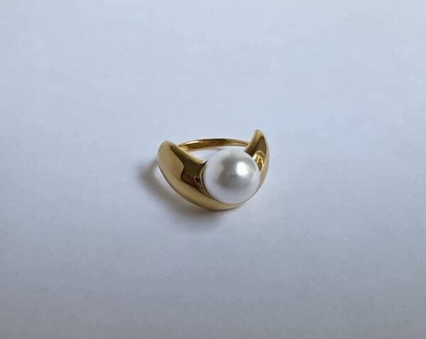 Anillo