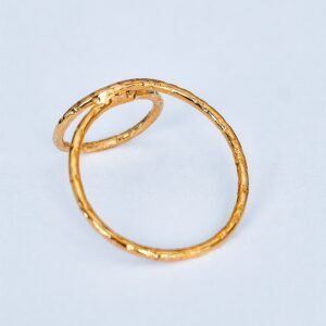 Anillo