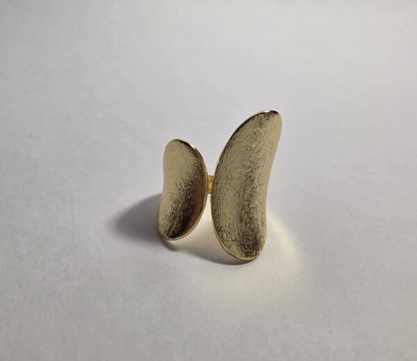 Anillo